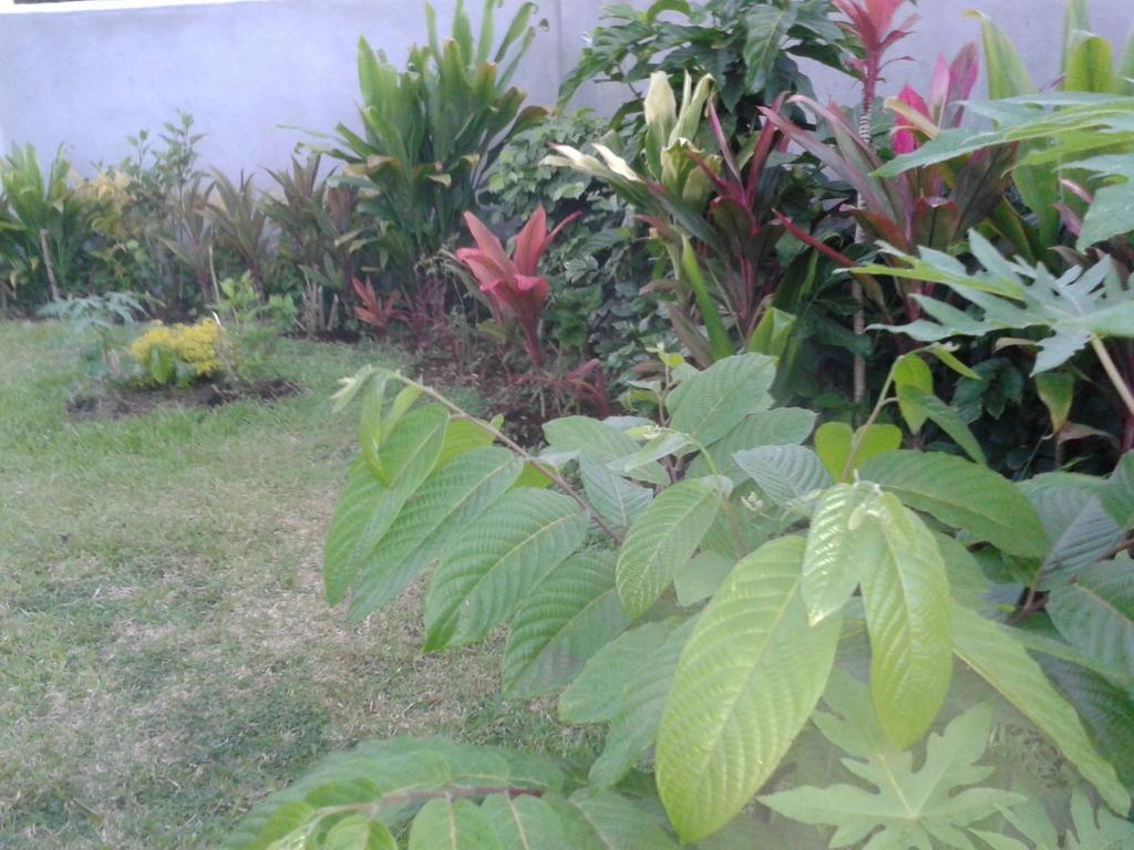 Dayspring Lodge Nuku'alofa Extérieur photo