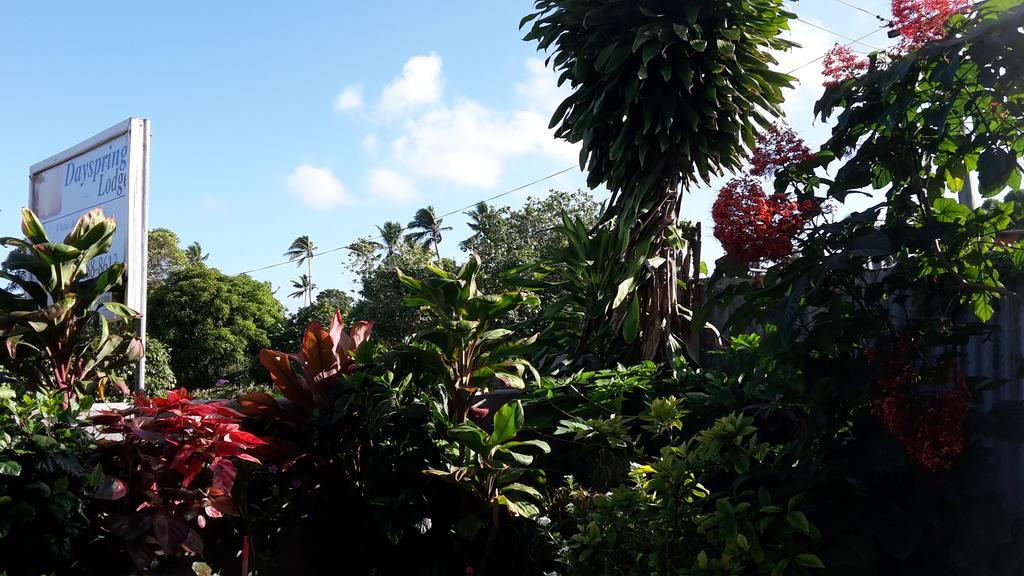 Dayspring Lodge Nuku'alofa Extérieur photo