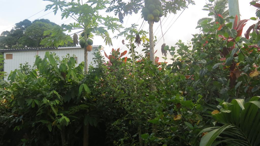 Dayspring Lodge Nuku'alofa Extérieur photo