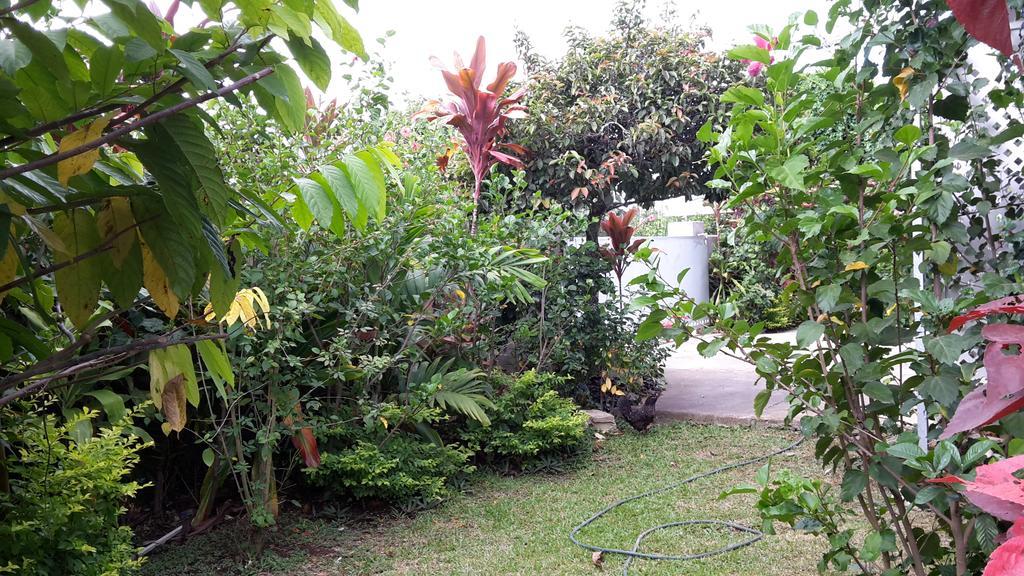 Dayspring Lodge Nuku'alofa Extérieur photo